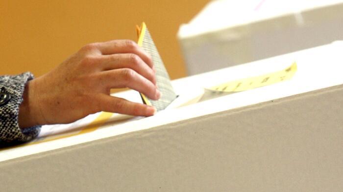 Cosa Si Vota L 8 Giugno Referendum 8 e 9 giugno: per cosa e come si vota | Bresciaoggi