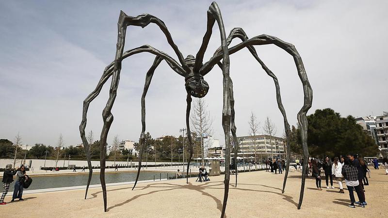 Ragno Gigante Che Mangia Un Essere Umano Ragno Gigante Che Mangia Un Essere Umano